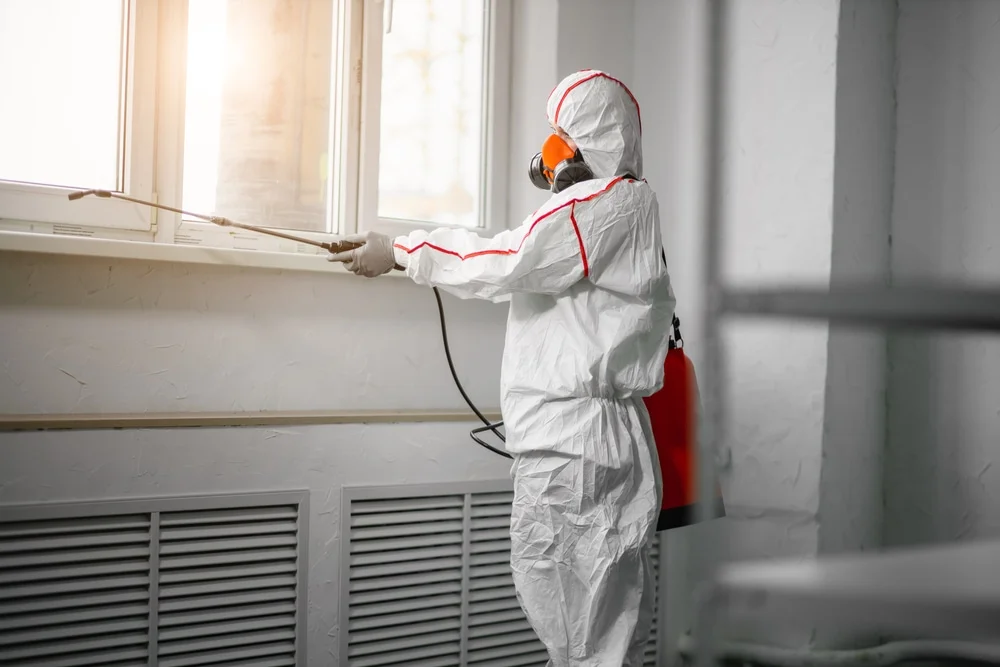 Professional mold remediation services in Morristown, IN
